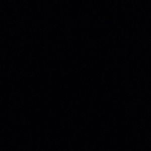 Meet your Posher, Trustin